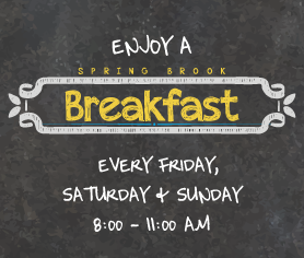 Spring Brook Vacation Home Resort | Top Wisconsin Dells Lodging