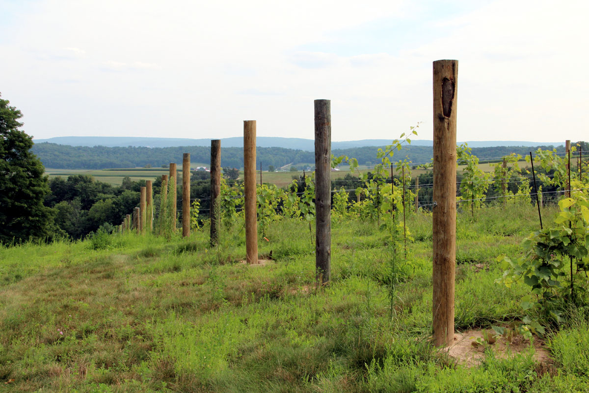 Baraboo Bluff Winery