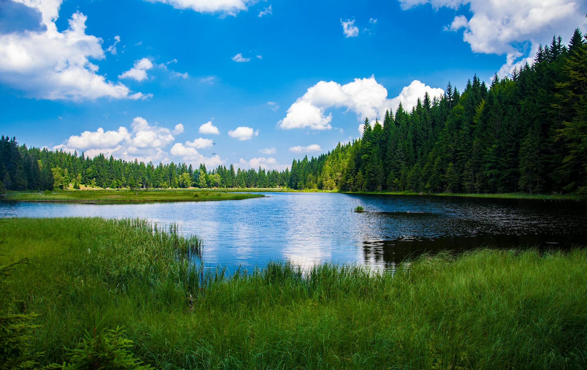 Last-Minute Vacation in Spring Brook